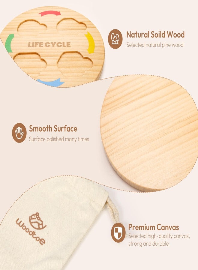 Woodtoe Life Cycle Toys for Kids, 12 Themes Montessori Preschool Science Center Materials, Wooden Learning & Educational Toys for Toddlers, Learning Game Christmas STEM Toys for Boy Girl Age 3-6 - Image 4